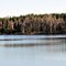 A View of Lake Louisa Florida and the Trees Bedecked in Spanish Moss.