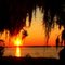 Sunset and Spanish moss