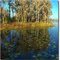 Lilypad reflections