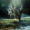 Spanish Moss On Tree in Lake Louisa State Park