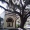 appropriately named town, Oakland Town Hall under the live oaks (2-24-2011)