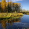 Sunny Creek