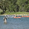 Traffic Jam on Bow River