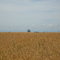 grain elevator