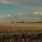 Cumulus Clouds With Distant Thunderheads Over Open, Golden Prairie Near Andrew, Alberta, Northeast of Edmonton Apr '11
