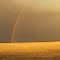 A Vividly Colourful Rainbow Cast Against Dark Thunderstorm Skies Above A Prairie Of Gold, South of Smoky Lake AB Apr '12