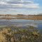 Serene Spring Reflections West of Stettler AB Apr '12