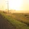 Dusty Backroad