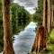 Shingle Creek - Kissimmee, FL