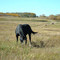 fall on the prairie