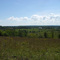 Georgian Bluffs viewpoint on Cole's Road