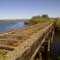 Rail bridge over a wildlife pond