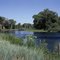Rio Grande State Wildlife Area at Monte Vista, CO