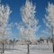 Three Graces in winter outfits