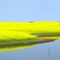 Summer, and still water in the Sloughs!