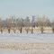 Urban Highrise Downtown Background, Contrasting Open Rural Prairie Foreground In Far Southwest Calgary Feb '11