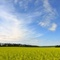 By Innisfail