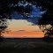 Tree Gate Sunset