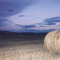 Roll of Hay at Dusk