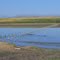 Azure, Small Lake in the Plains (19.8.2011)