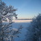 A Cold Lake Winter
