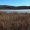 'African Lake' wetland just east of City of Cold Lake