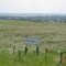 Ranchland - S.W. Calgary