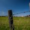 Farm at Springbank