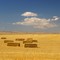 Alberta bread_Hwy 36_near Warner