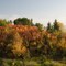 Autumn at Augustana