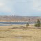 Contrasting Greens, Golds And Blues In The Battle River Valley Near Camrose AB South of Edmonton Apr '11