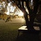 Sunset at 'Heartland'