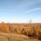 Fall scene near Drayton Valley, N Sask River Valley 2