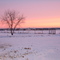 1 Enero 2008 Drayton Valley