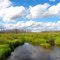 Backroads of Conklin