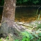 Whitewater River