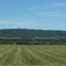 Saskatoon Mountain