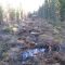 New cutline, Rocky Mtn. House Natural Area