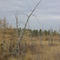 Twin Lakes near Crimson Lake1