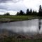 Vegreville Kinsmen Golf Course, Hole 9, Par 3, 151 yds