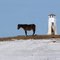 Don Quichotte