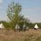 Blue Quills Culture Camp 02
