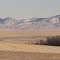 The Sweetgrass Hills Towering Over Prairies Of Gold Near Milk River AB Jan '13