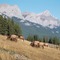 Canmore Alberta Locals Dining Out - KMF