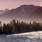 Morning Frost