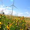 Wind Power