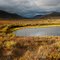 Golden Yukon Pond Panorama