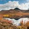 Pristine Yukon Wilderness