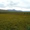 The Blackstone Uplands north of Pilots Peak