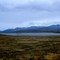 Chapman Lake